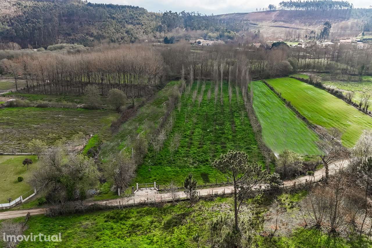 Terreno Rústico  Venda em Associação de freguesias do Vale do Neiva,Po - Grande imagem: 5/22