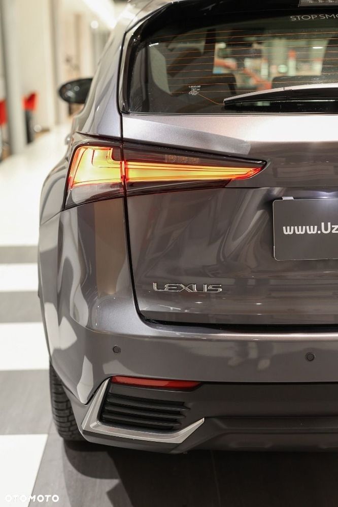 Lexus NX - 23
