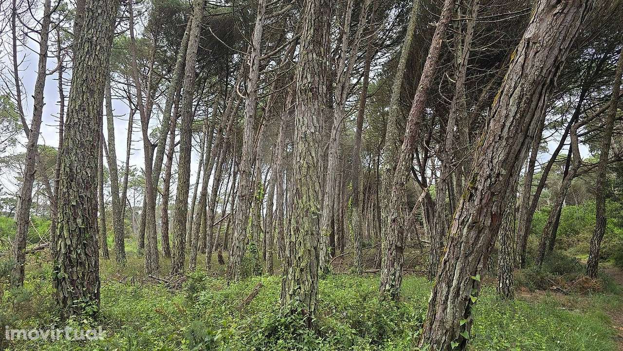 Terreno  para venda - Grande imagem: 4/4