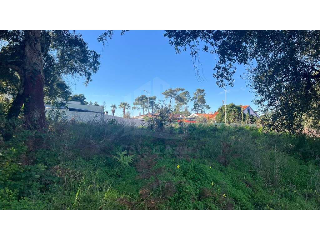 Terreno Urbano com Projeto Aprovado para Moradia com Piscina e Gara... - Grande imagem: 4/20