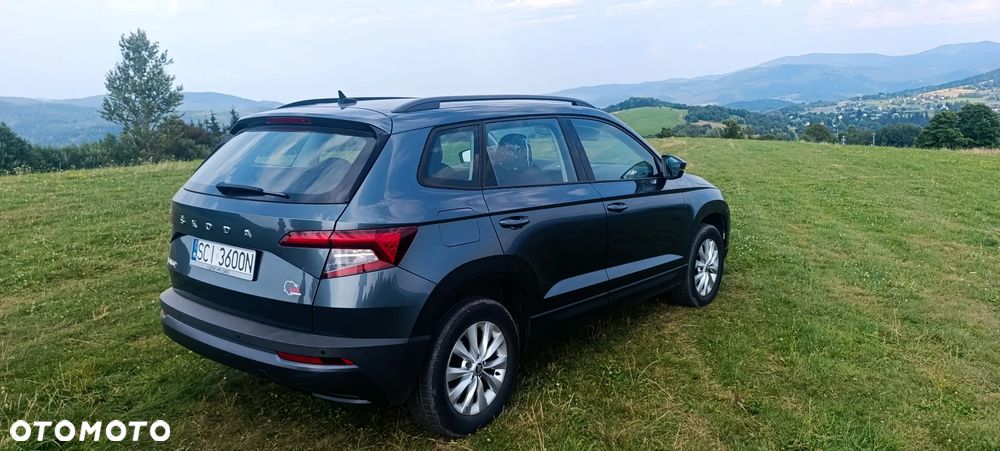 Skoda Karoq - 1