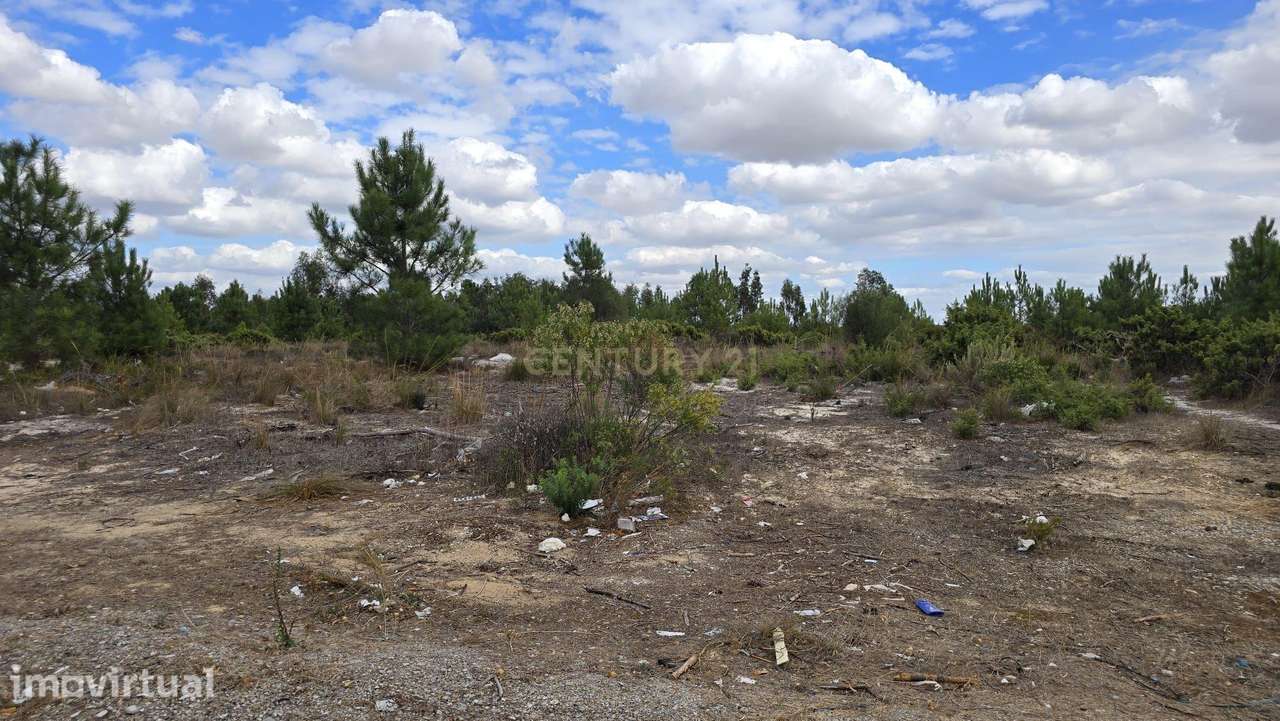 Terreno Urbano de 2.360 m² em Loteamento Recente – Quinta do Anjo, Pal - Grande imagem: 4/6
