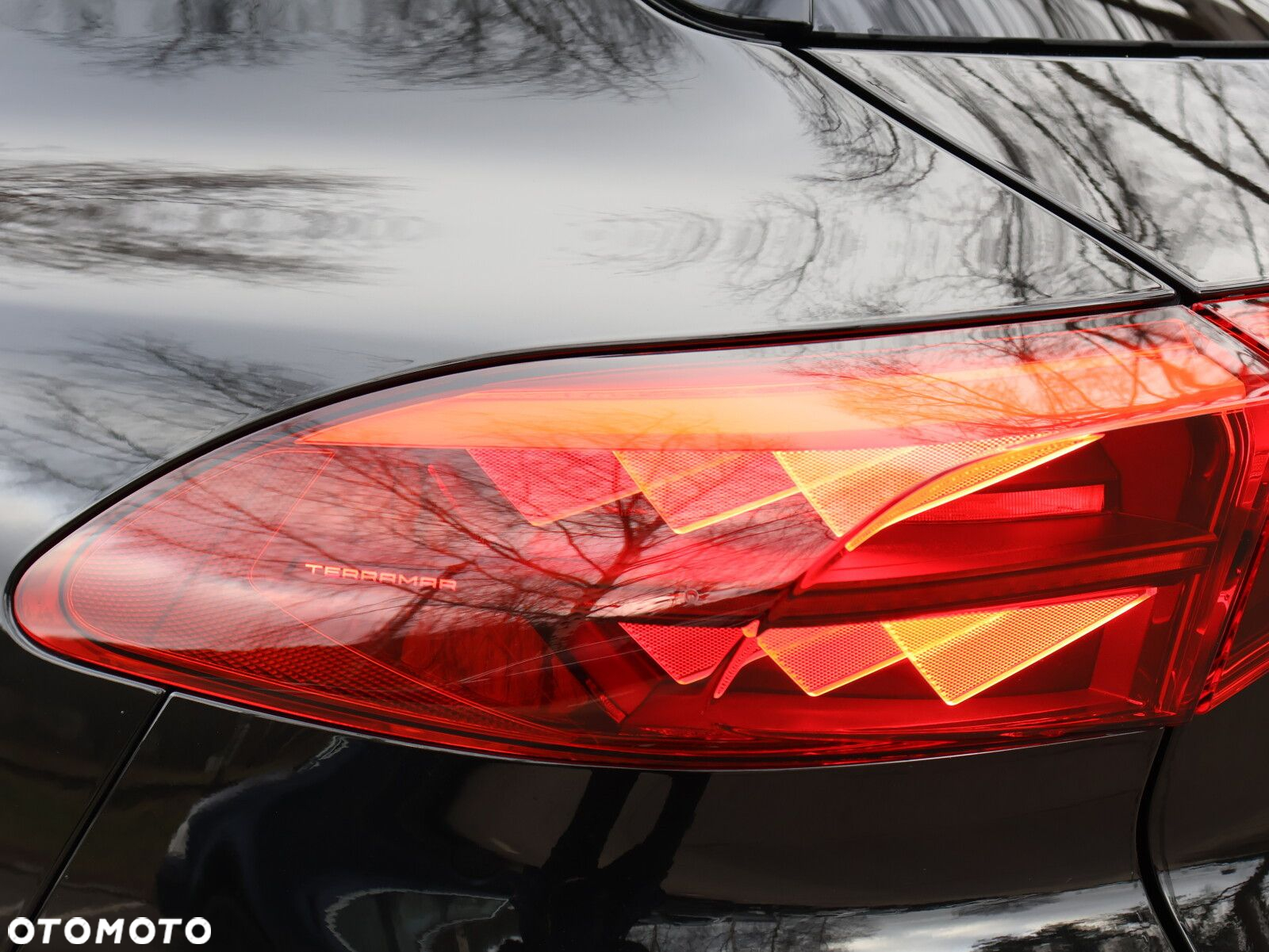 Cupra Terramar 1.5 eTSI mHEV DSG - 9