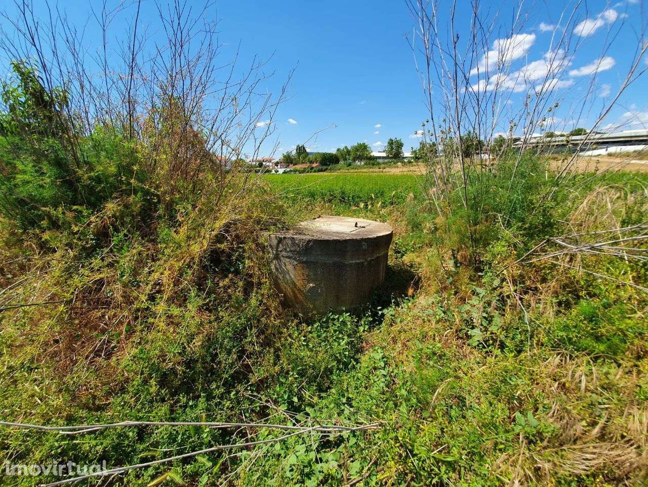 Vende terreno 1,5 hect Mirandela - Grande imagem: 3/22