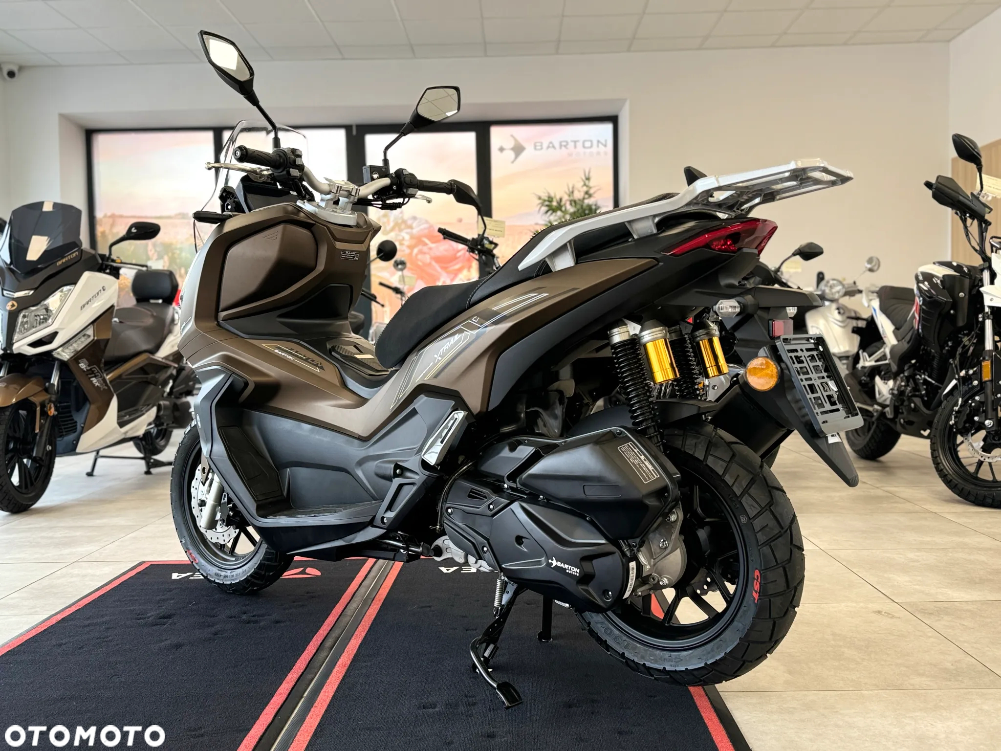 Barton X-Trail - 2