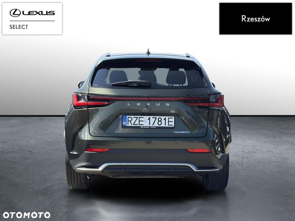 Lexus NX 350h F Sport AWD - 4