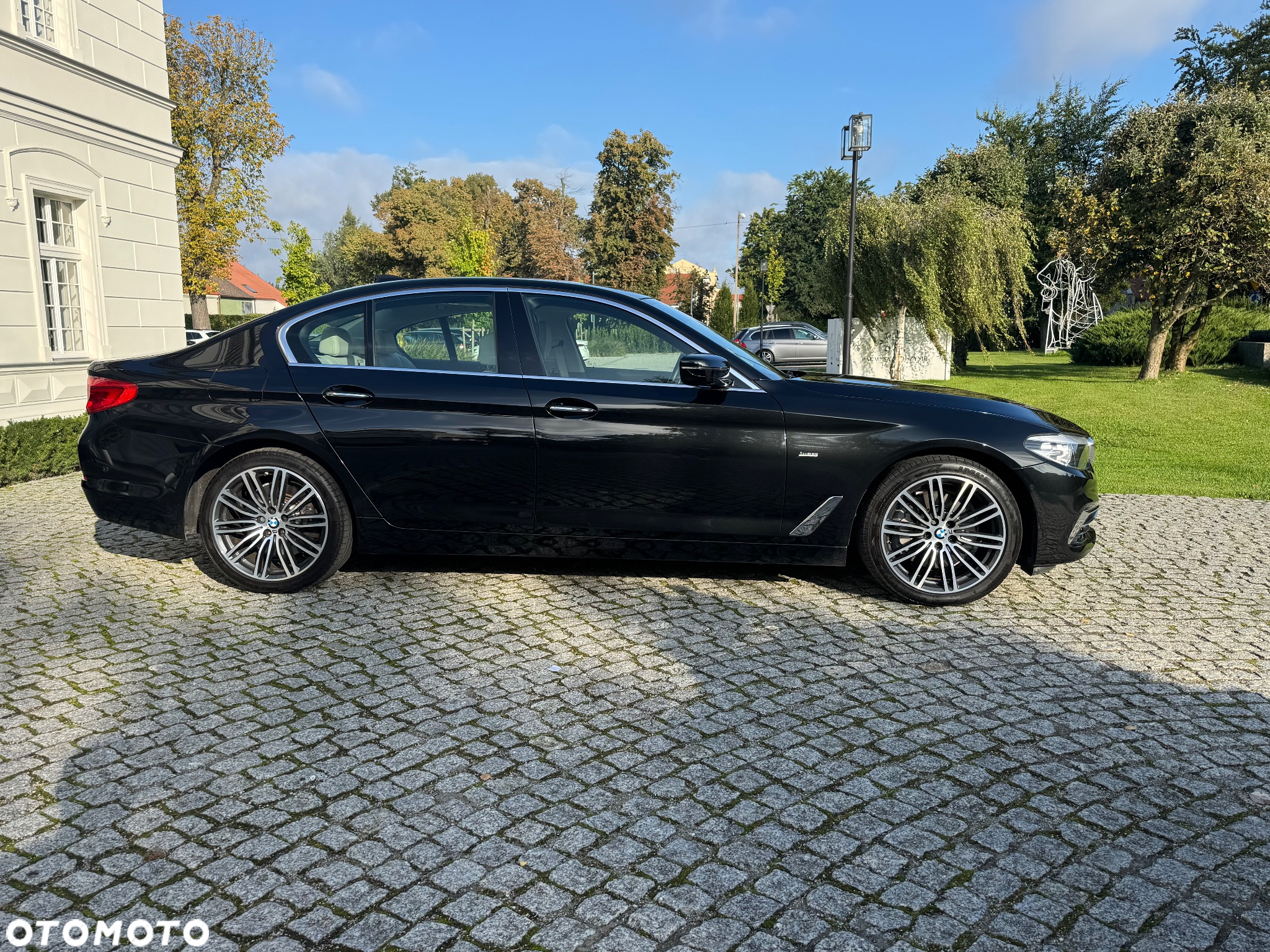 BMW Seria 5 530d Luxury Line sport - 10