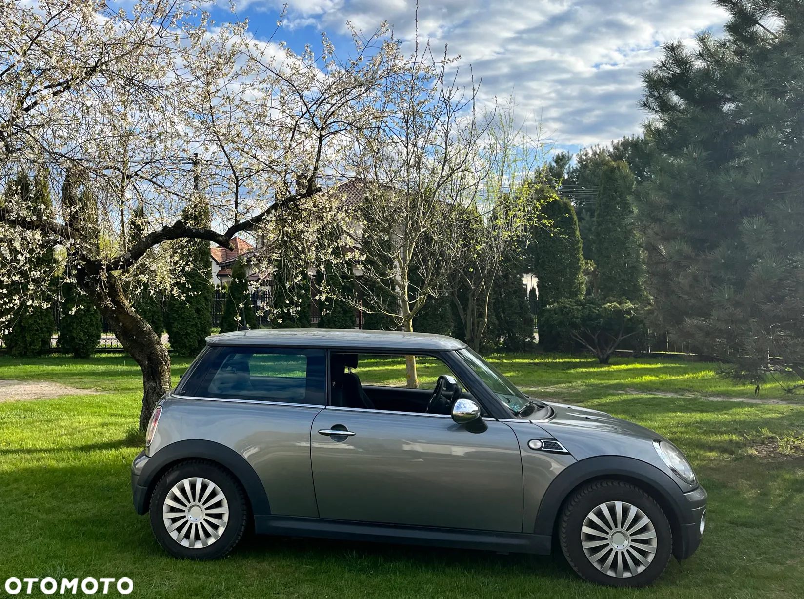 MINI ONE Standard - 1