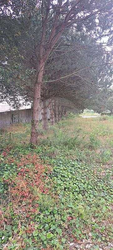 Terreno  para venda - Grande imagem: 2/6