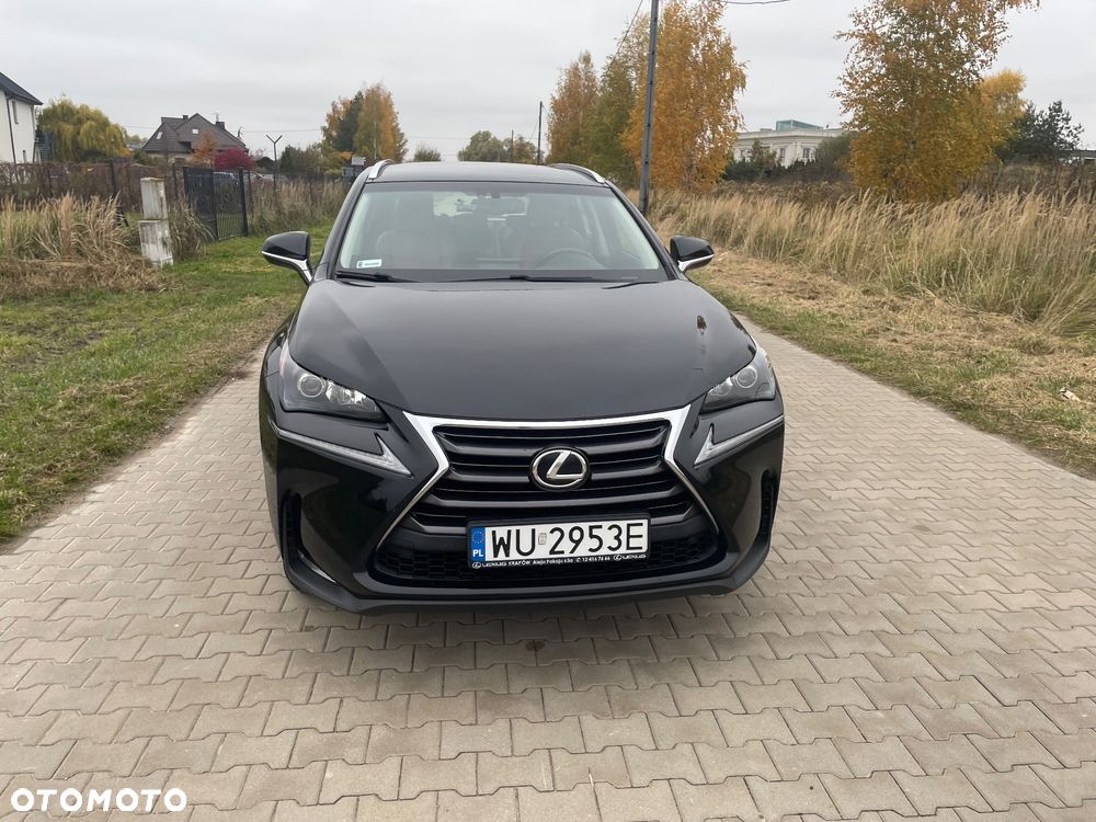 Lexus NX - 1