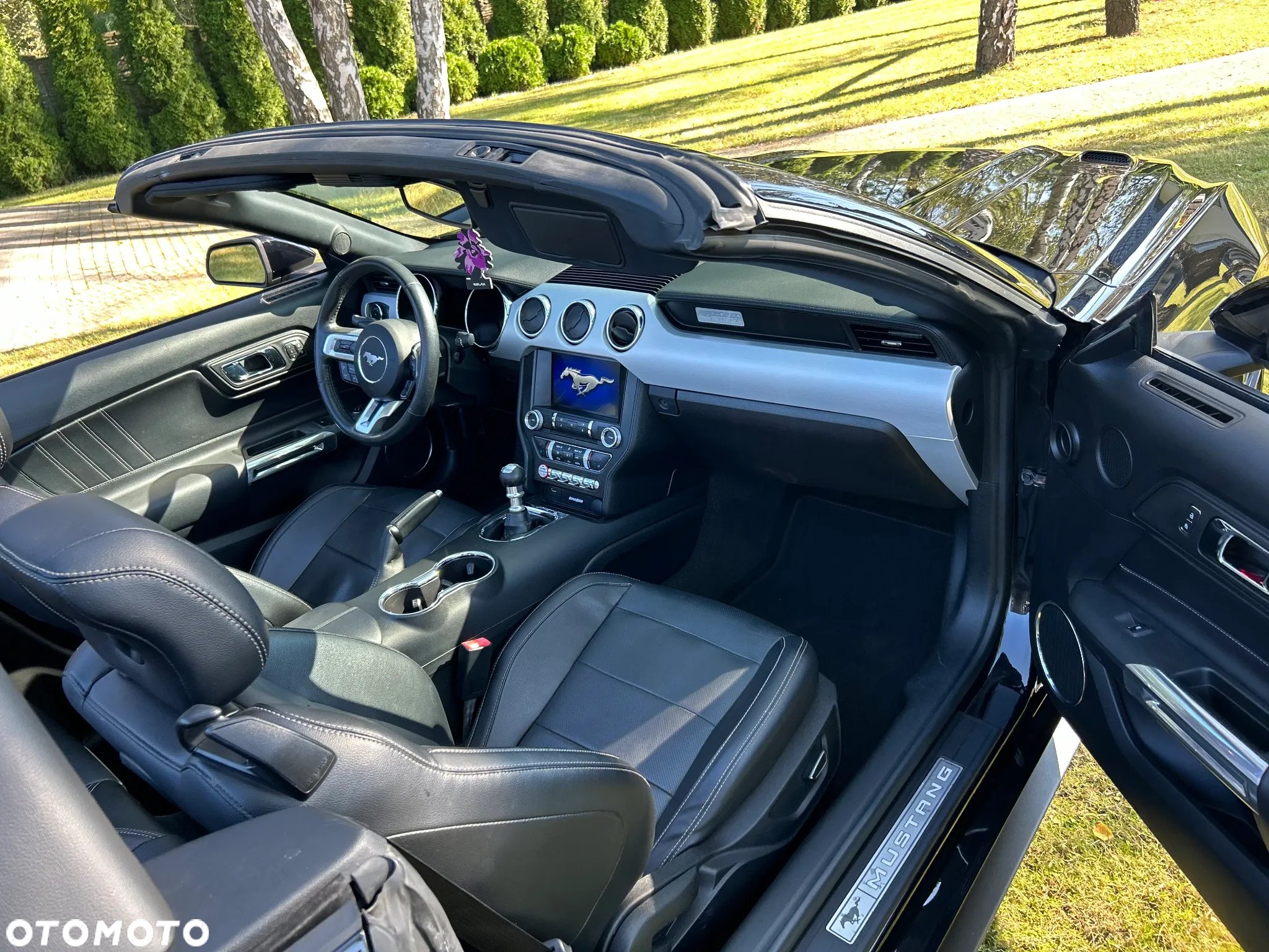 Ford Mustang - 19