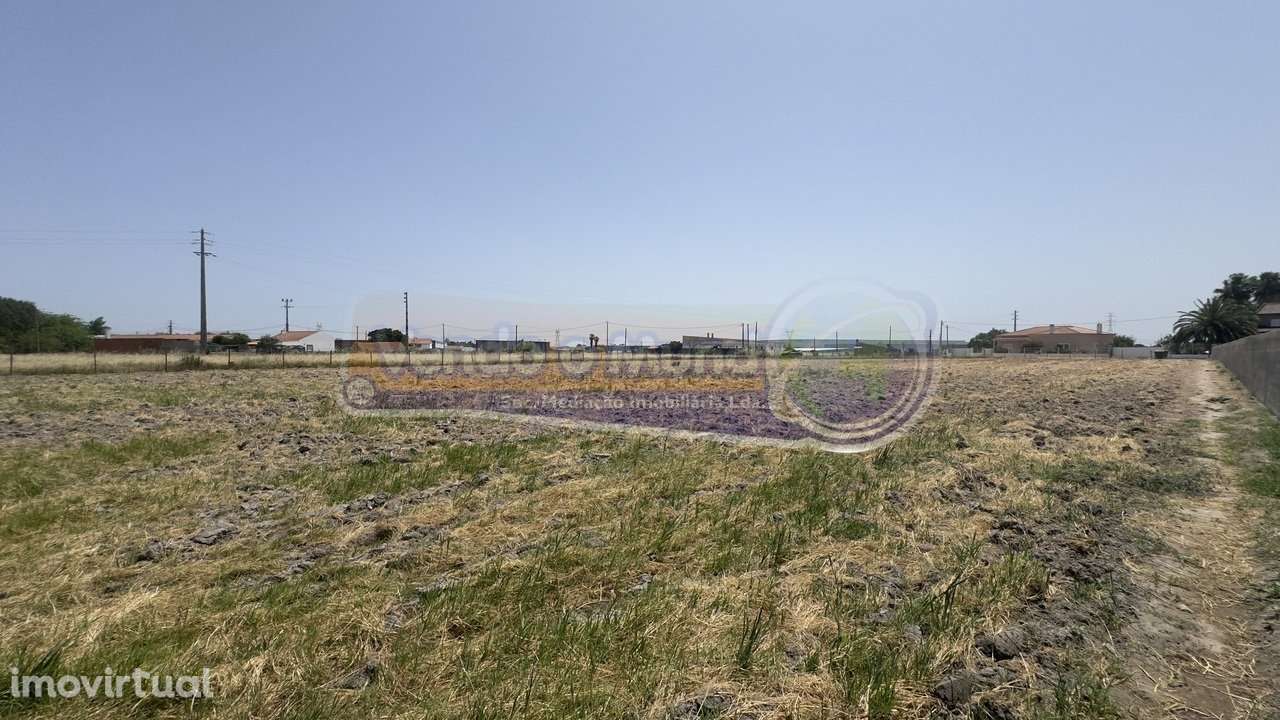 Terreno no Porto Alto (PALT365) - Grande imagem: 5/12