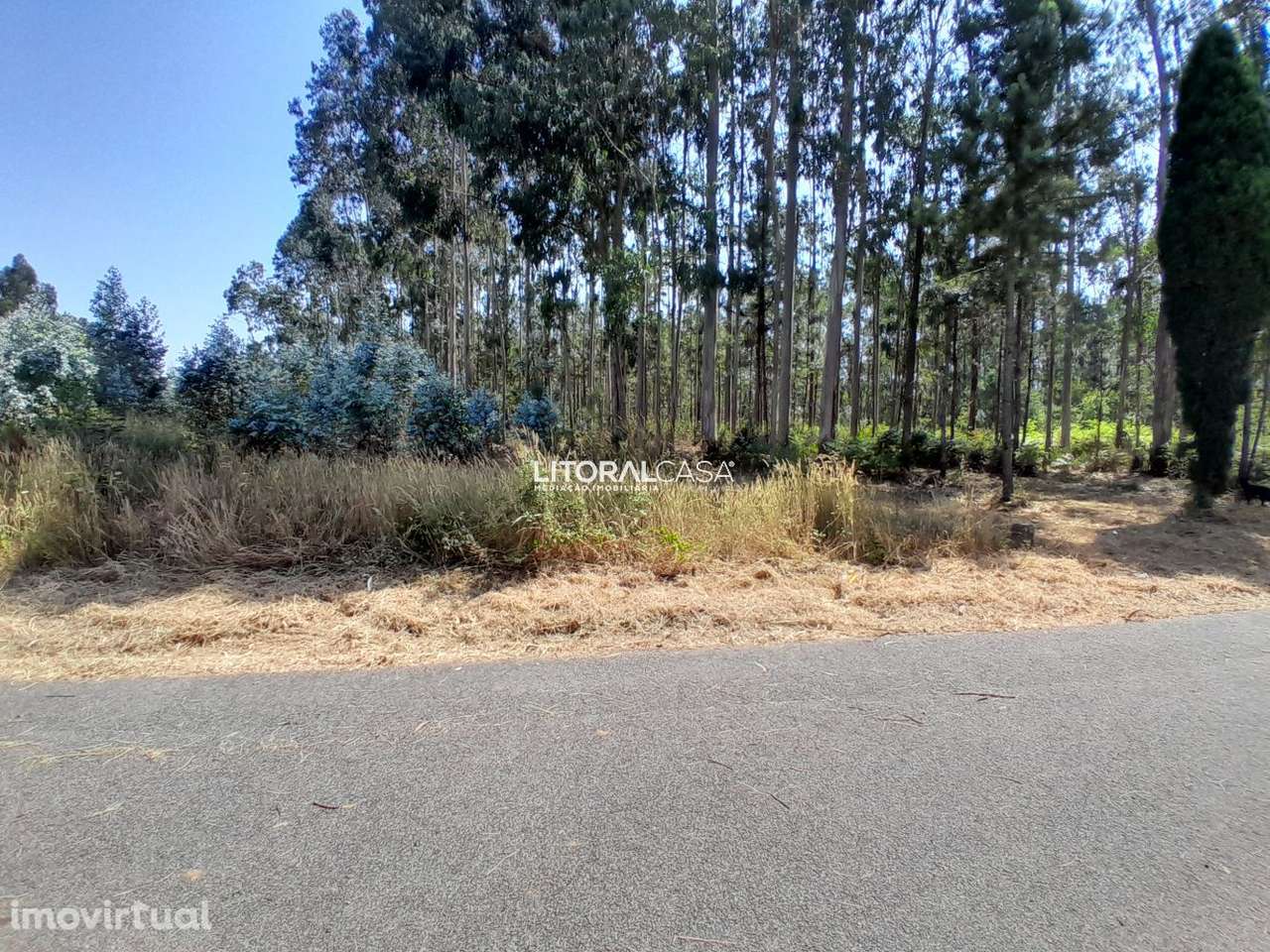 Terreno para construção em Águeda - Grande imagem: 2/10