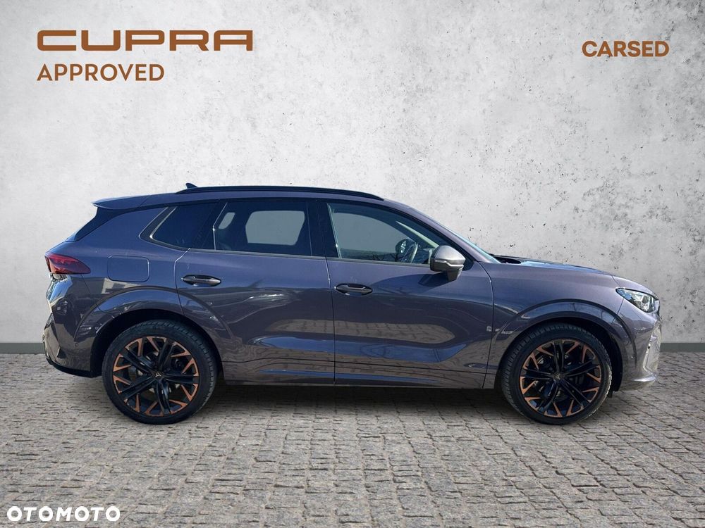 Cupra Terramar 2.0 TSI 4Drive VZ DSG - 7