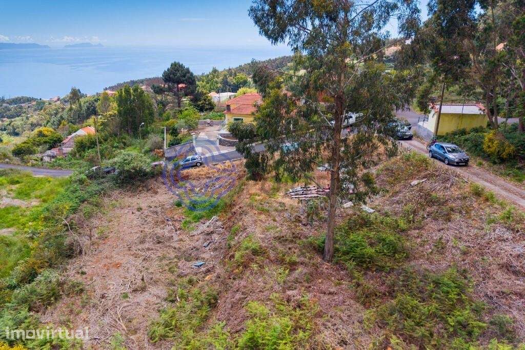 Terreno Rústico com Capacidade Construtiva — Freguesia de Santa Cruz, - Grande imagem: 2/17