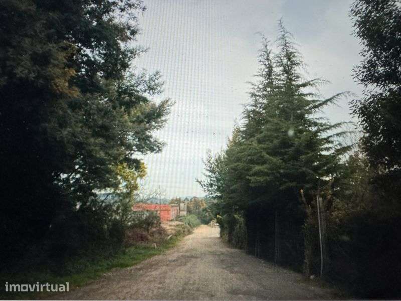 Terreno Rustico  com quase 25000m2 - Grande imagem: 3/10
