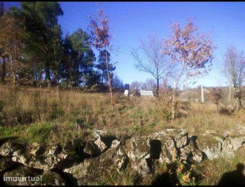 Terreno para construção, vista panorâmica, turismo.  Alhais Viseu - Grande imagem: 3/4