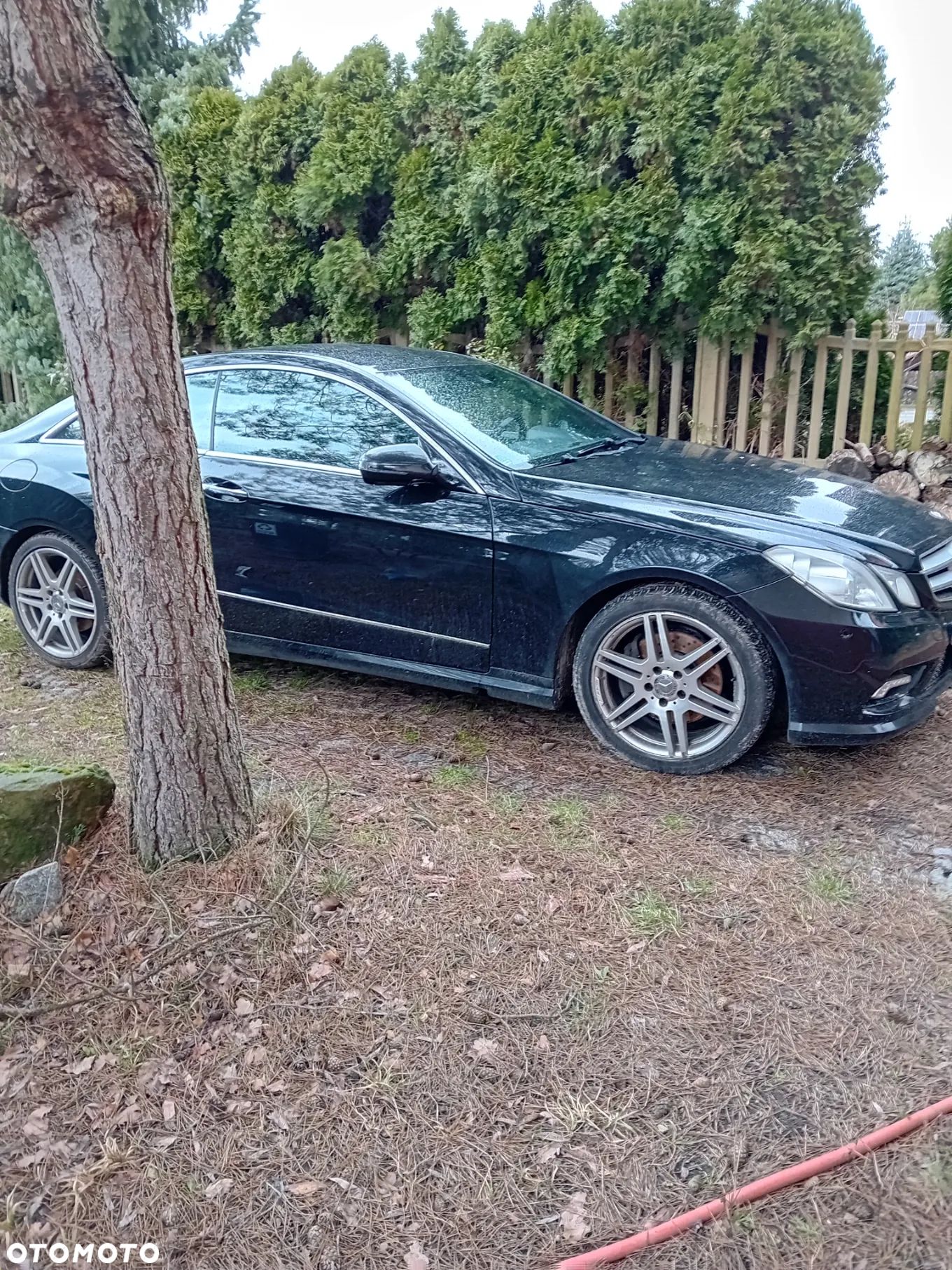 Mercedes-Benz Klasa E 350 CDI BlueEff - 1