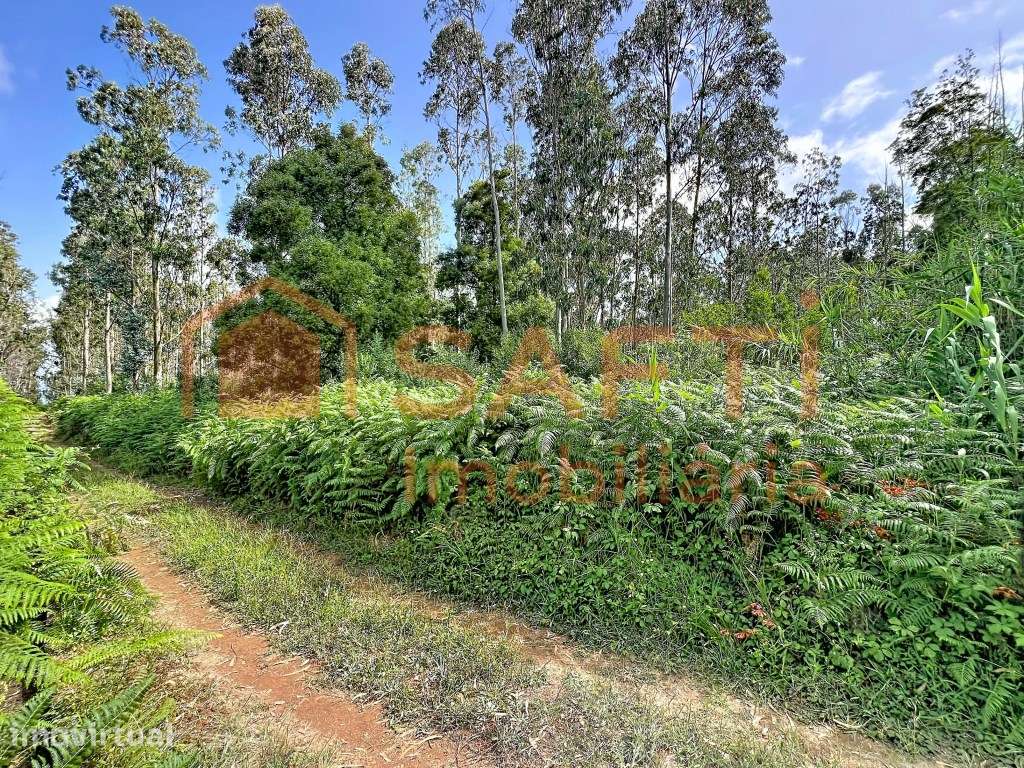 TERRENO PARA CONSTRUÇÃO DE 4.500 M² COM POTENCIAL RESIDENCIAL E TUR... - Grande imagem: 5/15