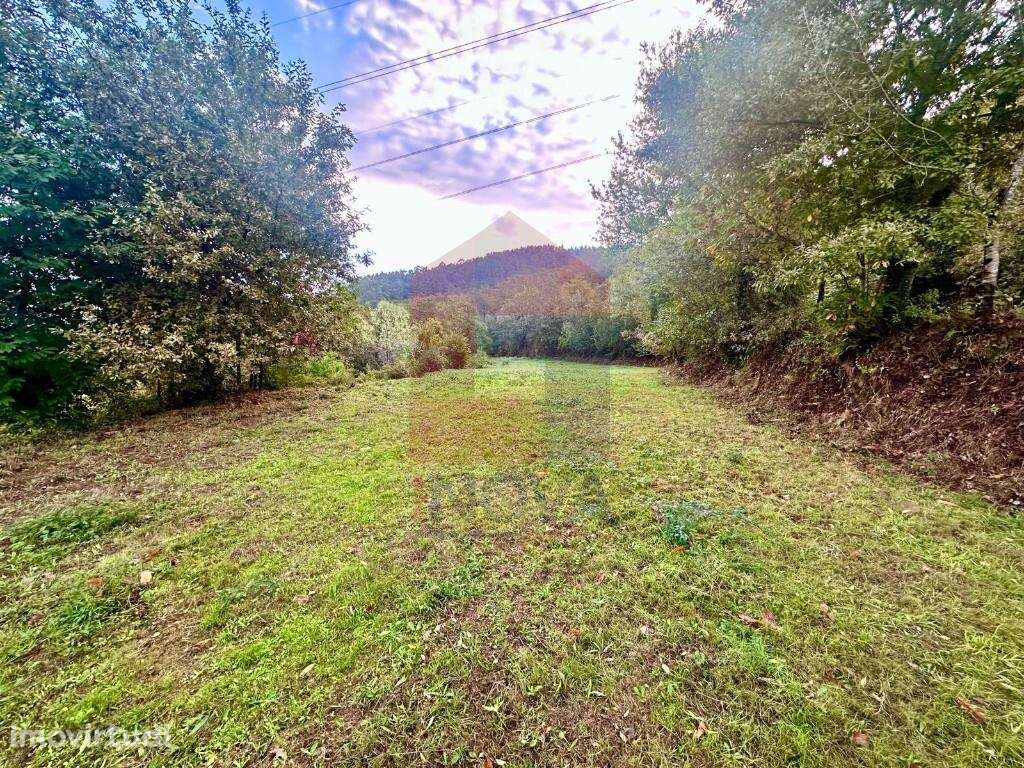 Terreno para construção, Moimenta - Grande imagem: 2/14