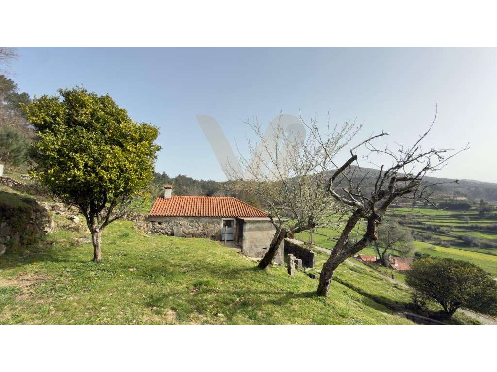 Casa Antiga T2 para Restauro | Rendufe, Ponte de Lima - Grande imagem: 4/30