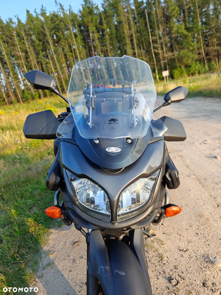 Suzuki DL - 11