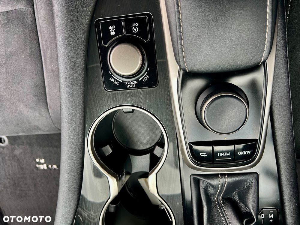 Lexus RX 200t / 300 Elite - 26