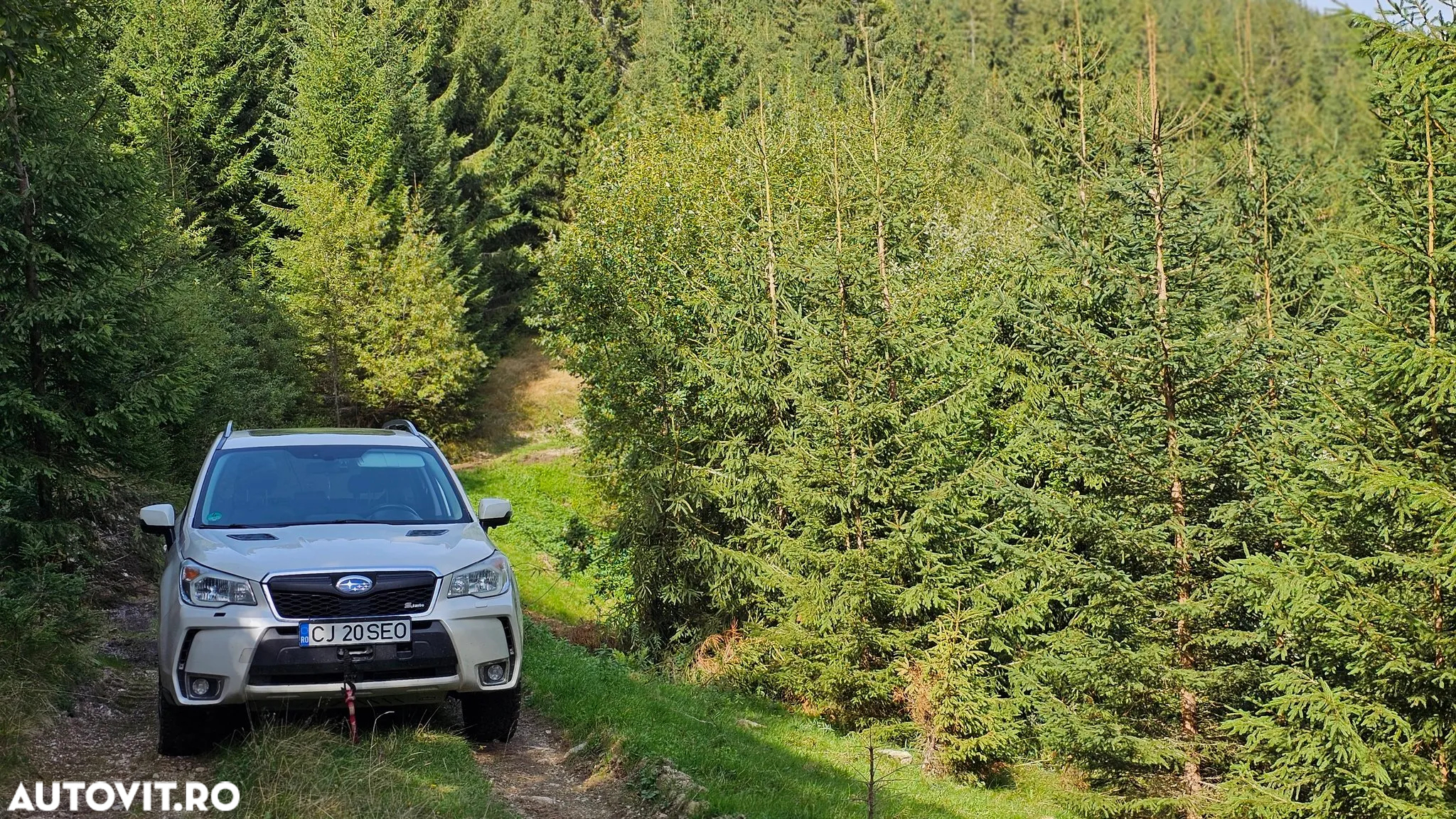 Subaru Forester 2.0XT Lineartronic Platinum - 9