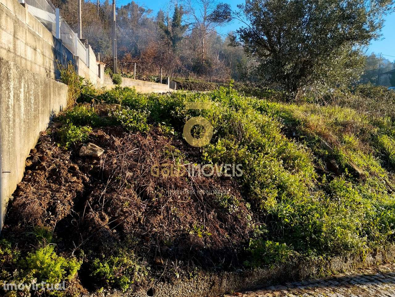 Terreno em solo de construção -  Nespereira, Cinfães - Grande imagem: 3/6
