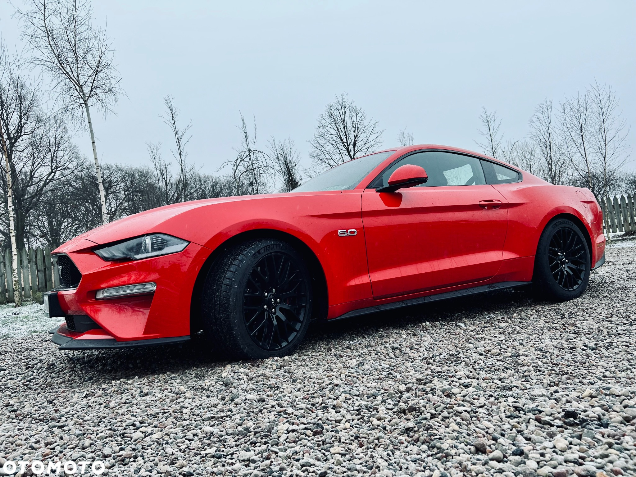 Ford Mustang 5.0 V8 GT - 5