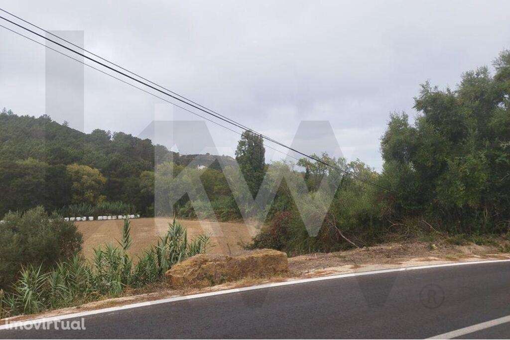 Terreno Agrícola com 7.125 m2 - Santo Isidoro - Ericeira - Grande imagem: 2/15