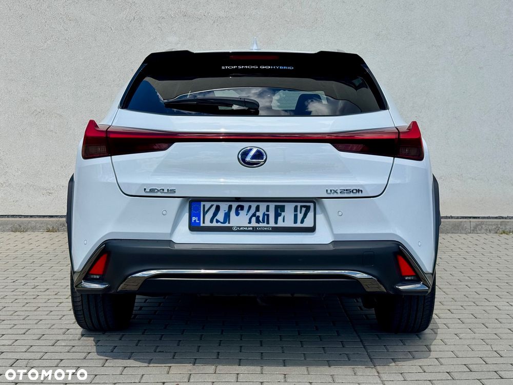 Lexus UX 250h GPF F Sport AWD - 12
