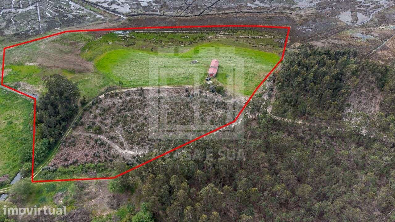 Terreno + Moradia T3 com vista para a Ria de Aveiro - Grande imagem: 3/15