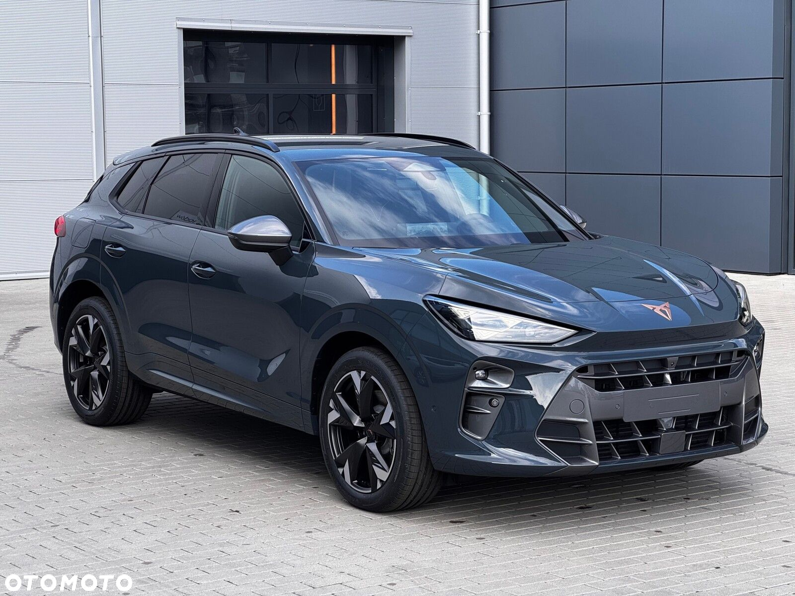 Cupra Terramar 2.0 TSI 4Drive DSG - 5
