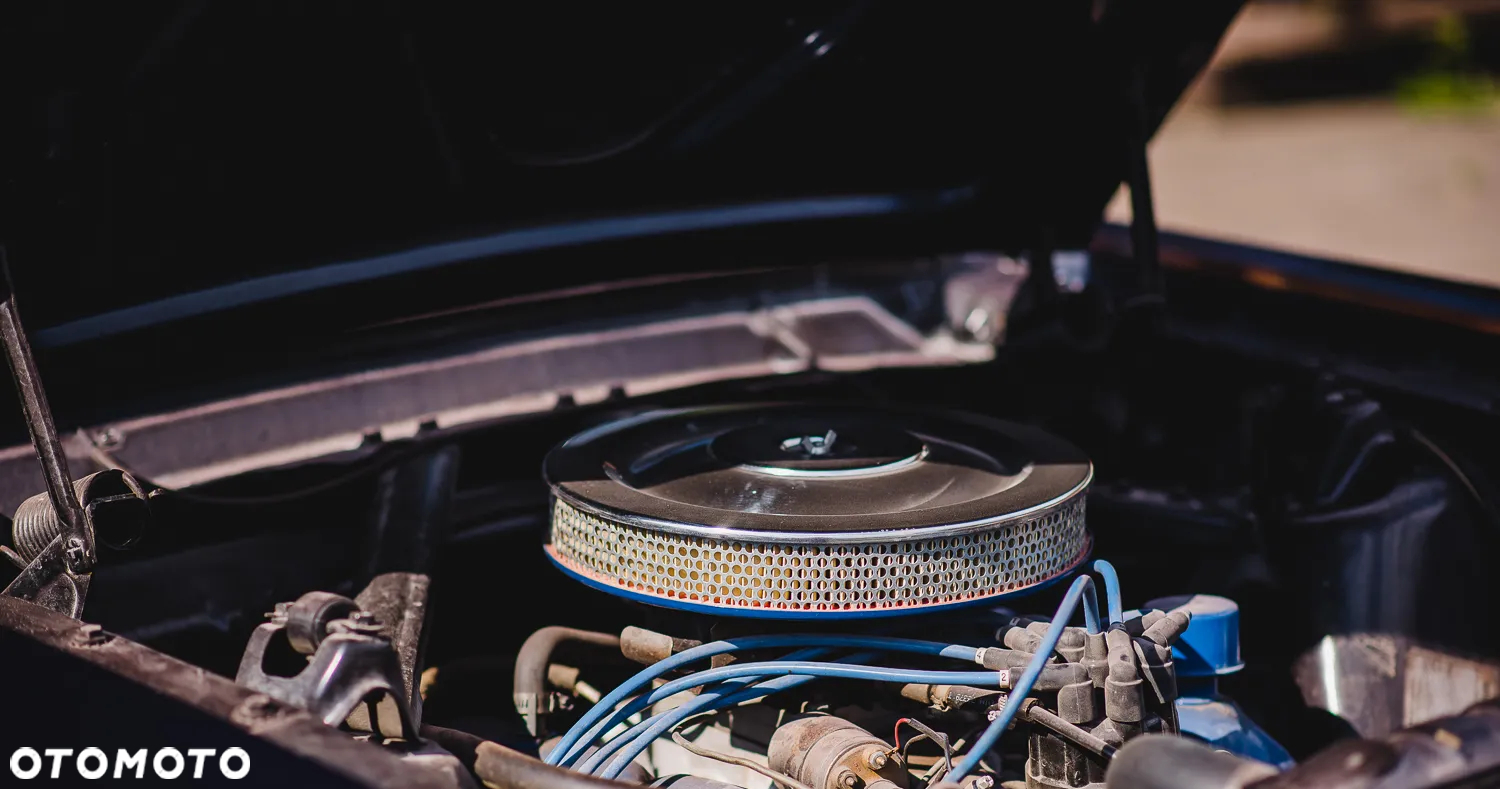 Ford Mustang - 14