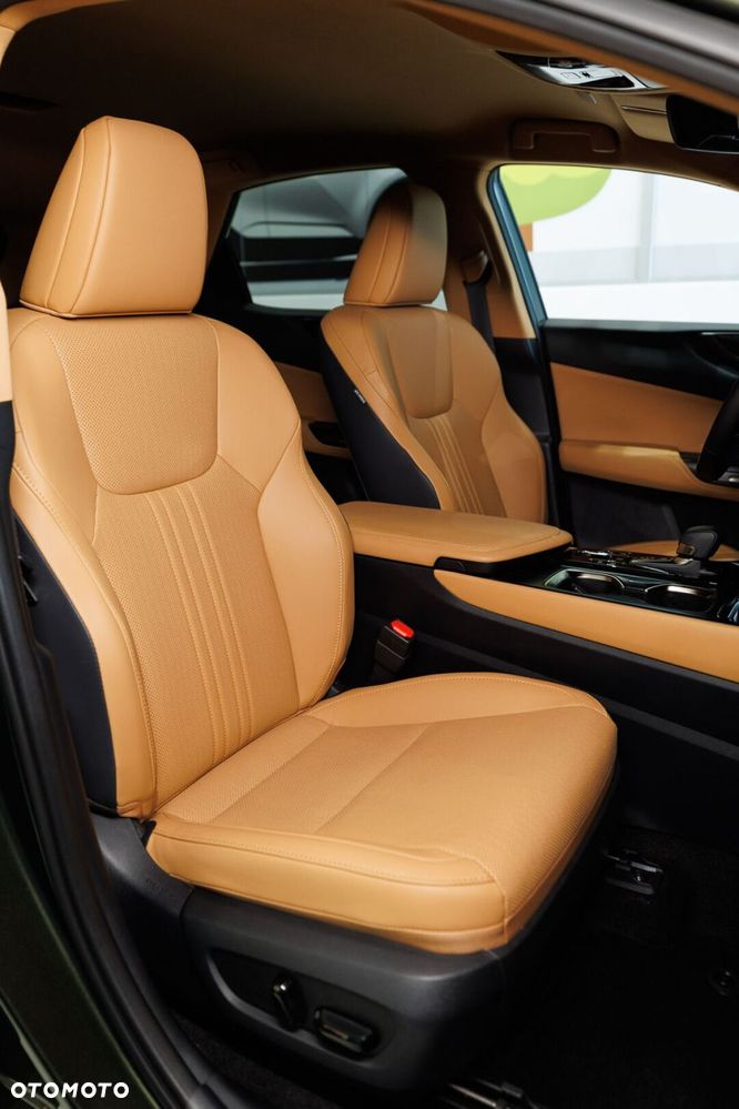 Lexus NX - 18