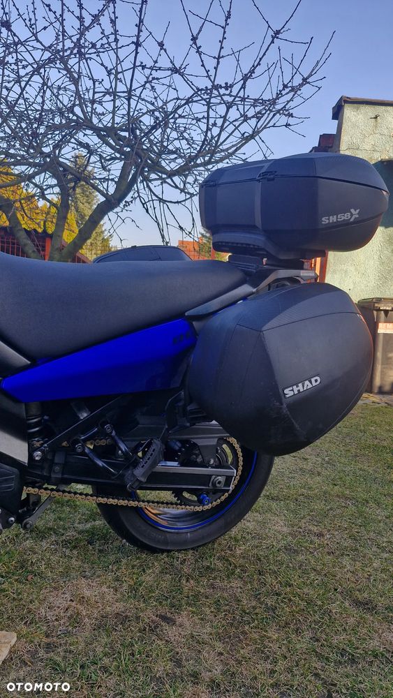Suzuki DL - 5