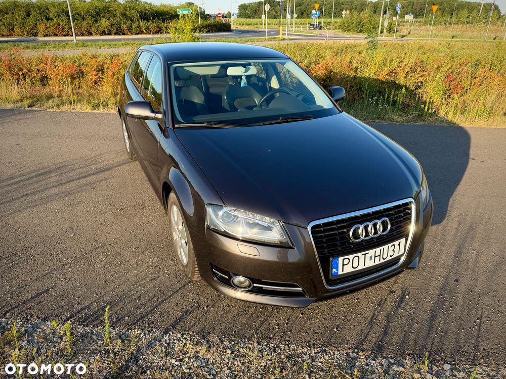 Audi A3 Sportback 1.6 TDI DPF Attraction - 13