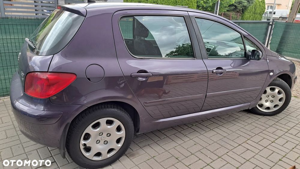 Peugeot 307 HDi 90 Grand Filou - 4