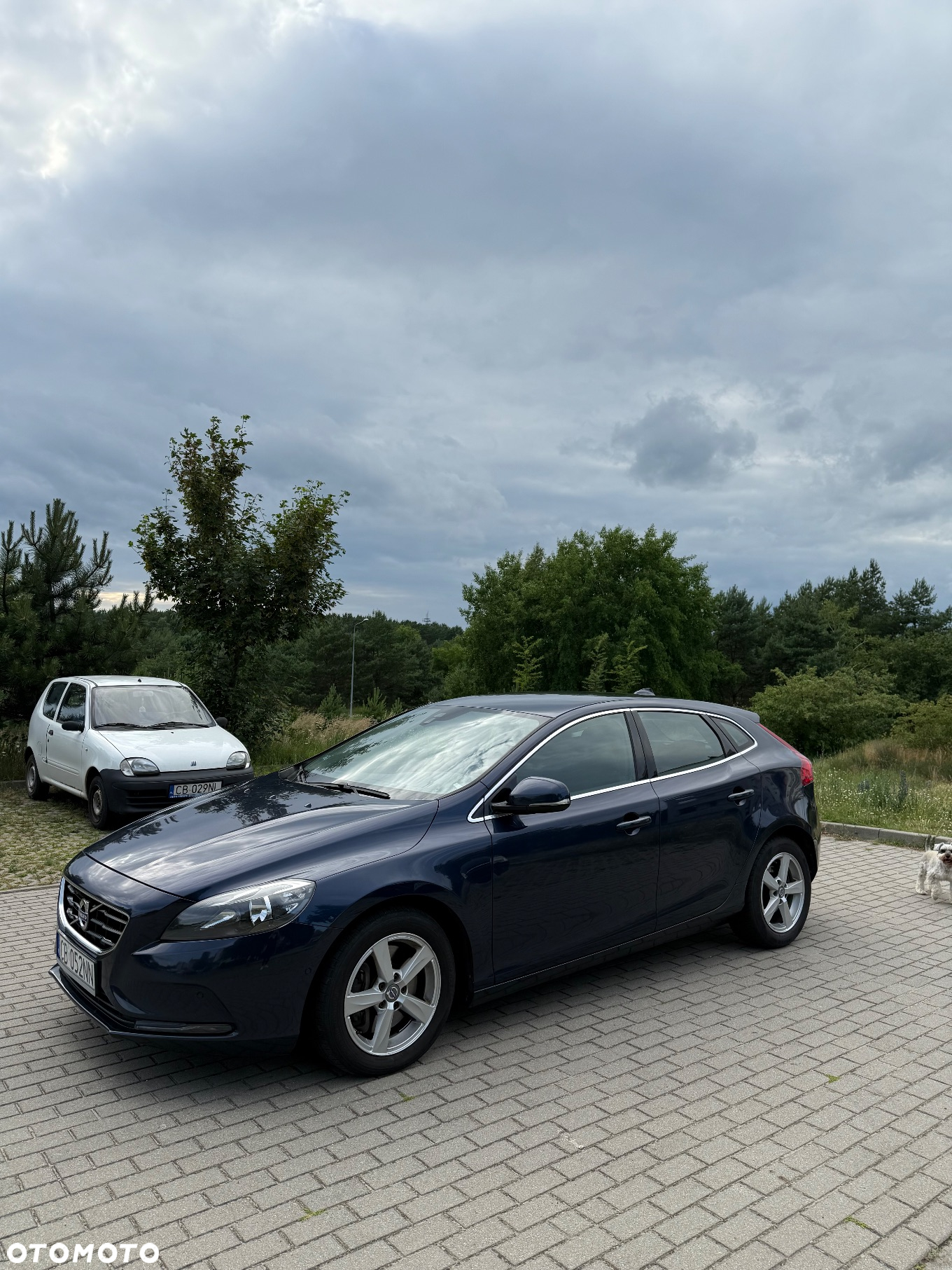 Volvo V40 D4 Momentum - 6