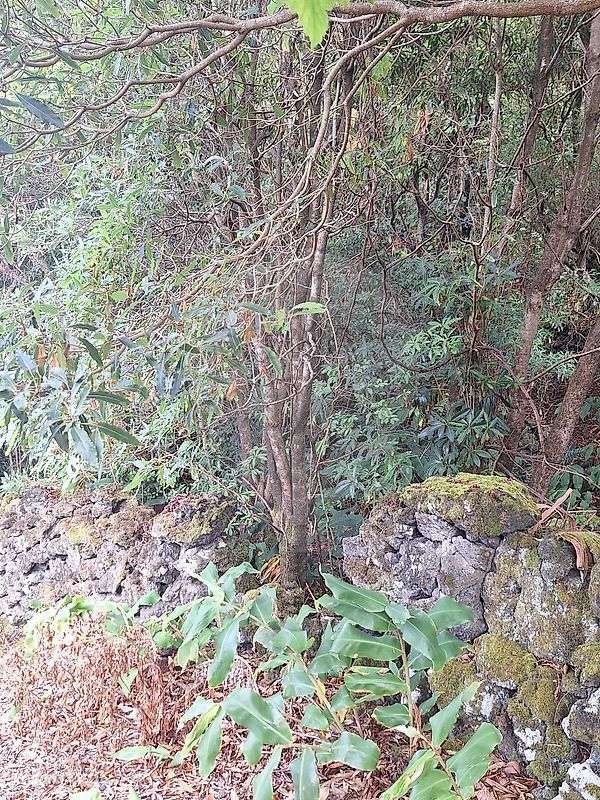 Terreno  para venda - Grande imagem: 5/5