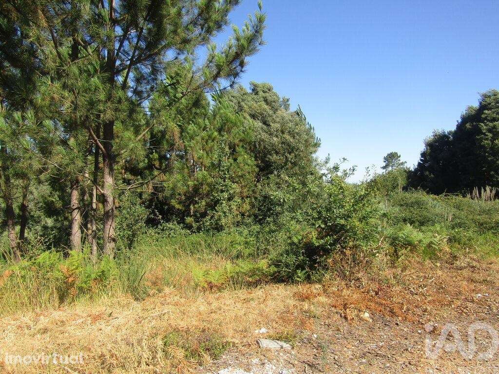 Terreno Agrícola em Sandim, Olival, Lever e Crestuma - Grande imagem: 3/15