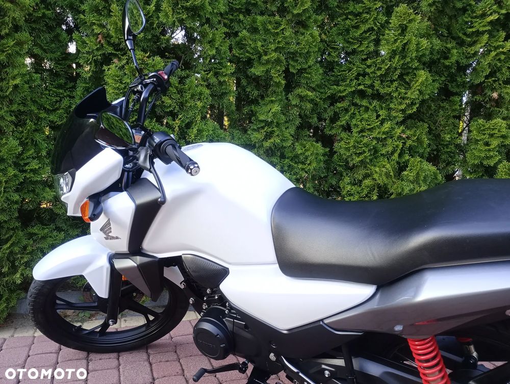 Honda CBF - 19