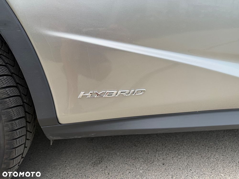 Lexus RX 450h (hybrid) Executive Line - 6