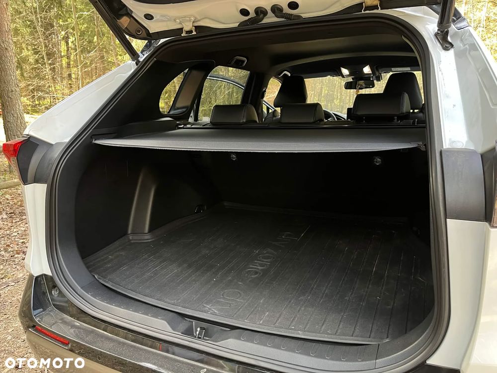 Toyota RAV4 2.5 Hybrid Selection 4x4 - 23
