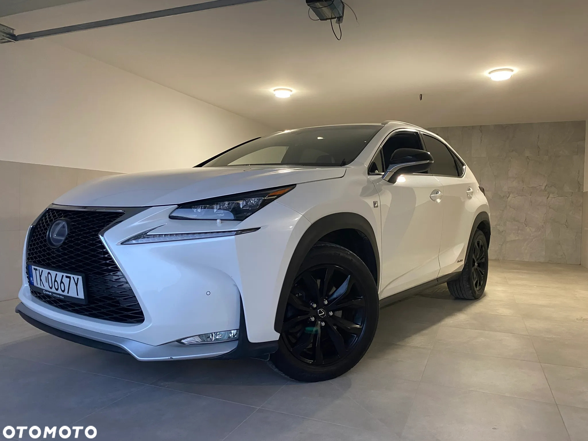Lexus NX 300h - 2