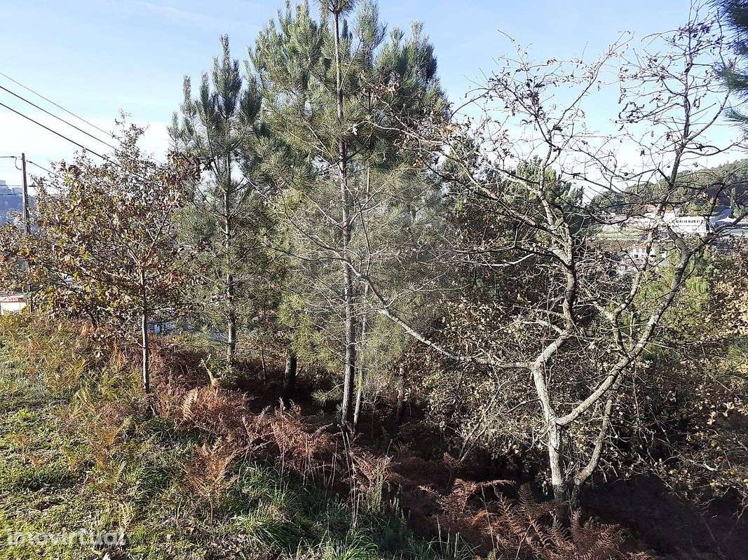 Terreno  para venda - Grande imagem: 3/9