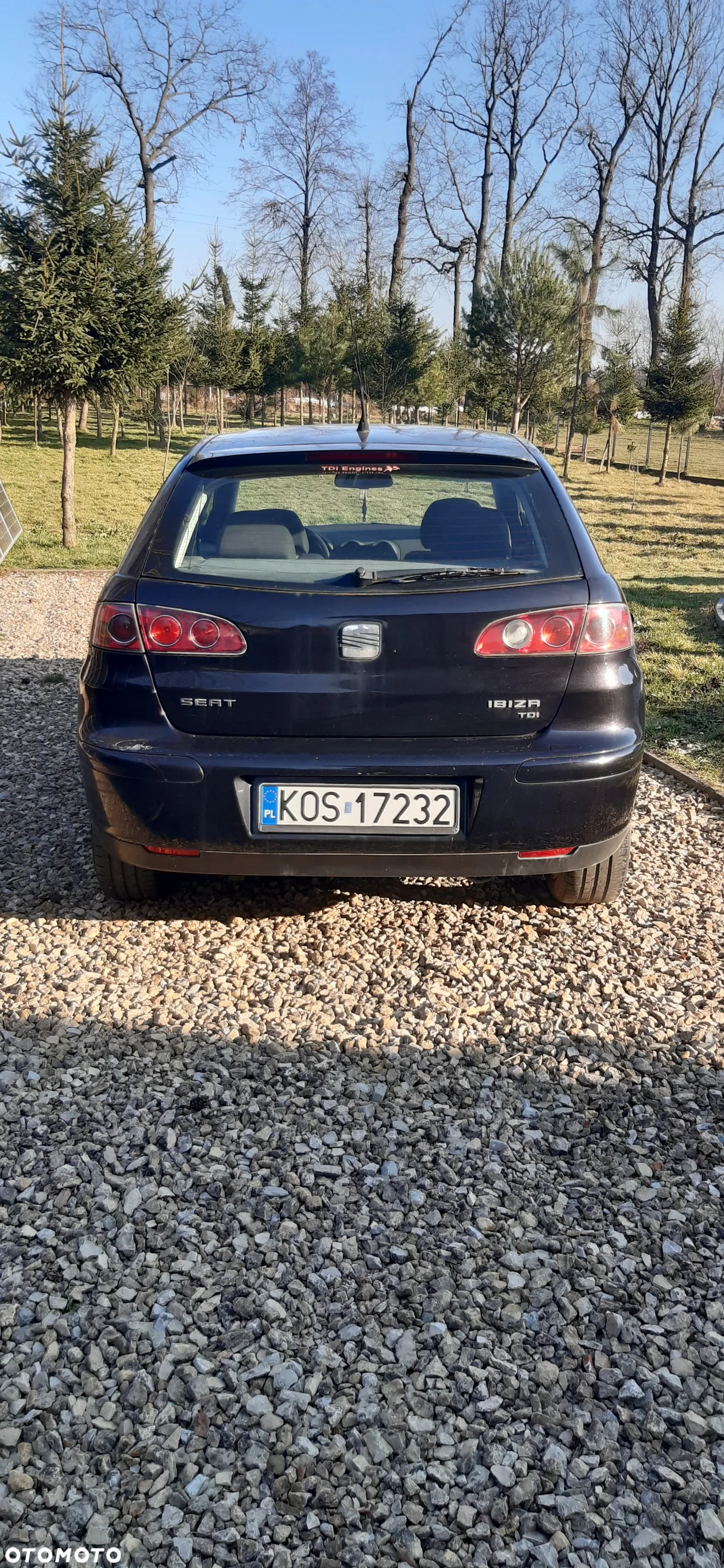 Seat Ibiza 1.9 TDI Signo - 5