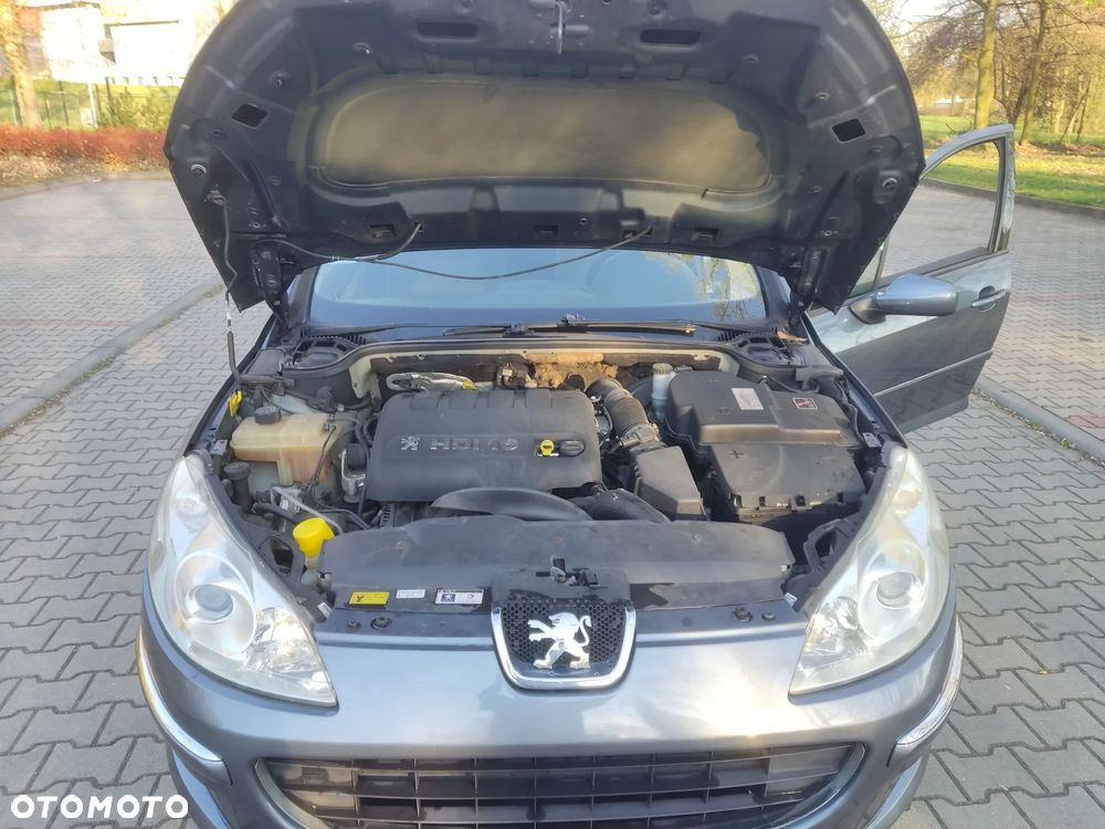 Peugeot 407 - 30