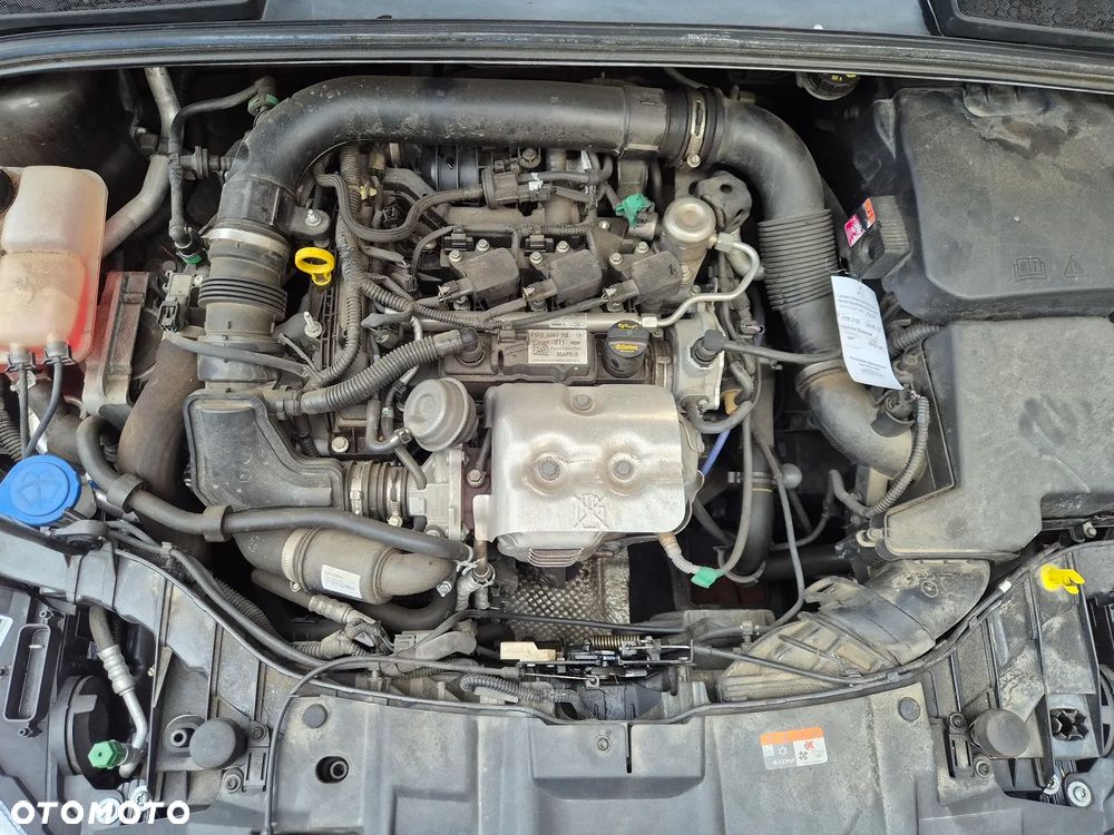 Ford Focus - 31